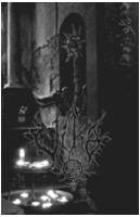 Viha (FIN) : From the Mist...